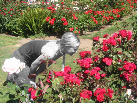Time for Roses