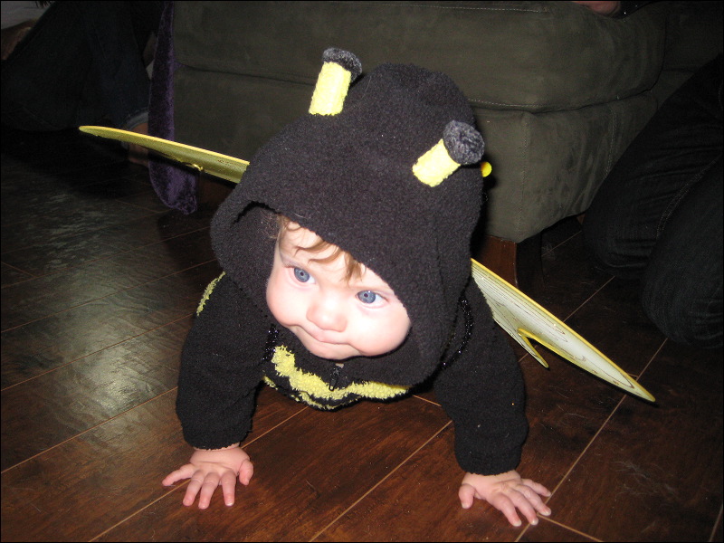 Emi  • We Buzz...We Trick...We Treat!  • The Doblick House  • Santa Cruz  • CA   • 10/31/2008