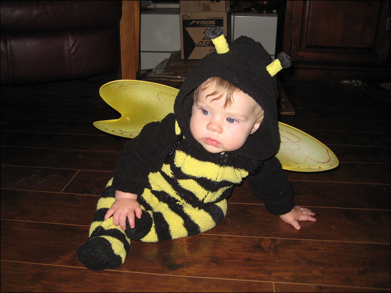 Emi  • We Buzz...We Trick...We Treat!  • The Doblick House  • Santa Cruz  • CA   • 10/31/2008