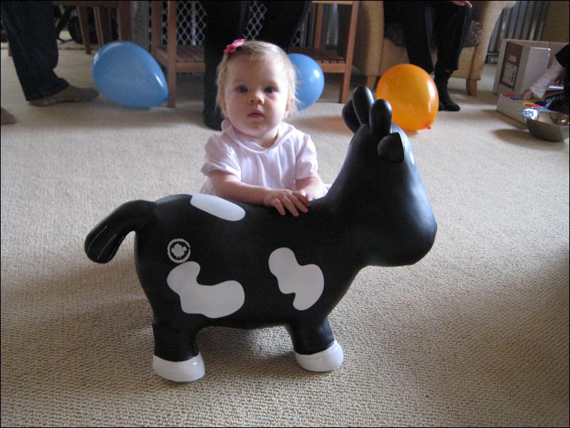   • Emi's 1st Birthday Party  • Alexander-Santana Estate  • La Selva Beach  • California   • 2/21/2009