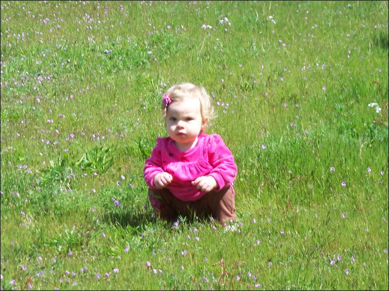   •   •   •   •    • 3/31/2009