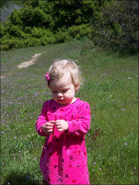   •   •   •   •    • 3/31/2009