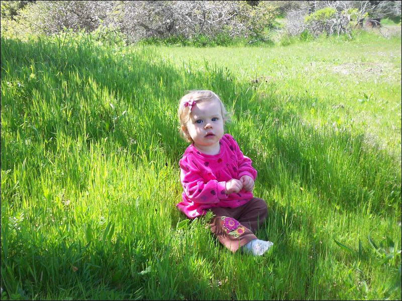   •   •   •   •    • 3/31/2009