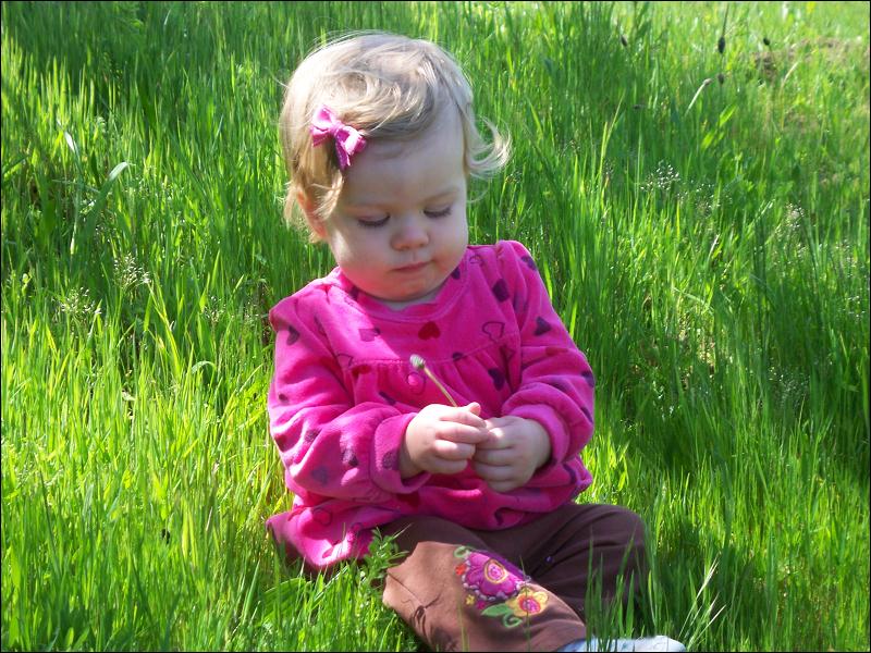   •   •   •   •    • 3/31/2009