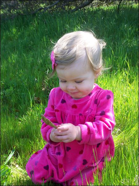   •   •   •   •    • 3/31/2009