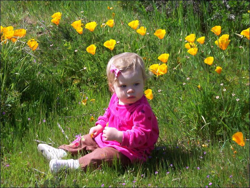   •   •   •   •    • 3/31/2009