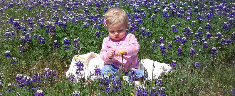   •   •   •   •    • 4/15/2009