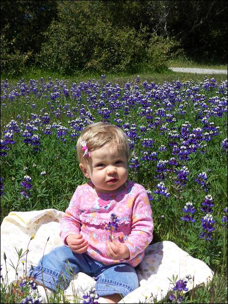   •   •   •   •    • 4/15/2009