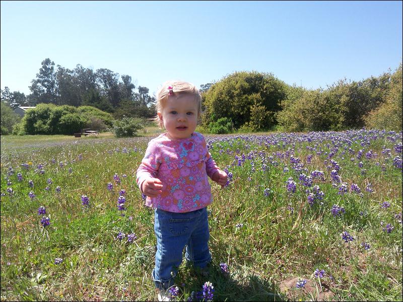   •   •   •   •    • 4/15/2009