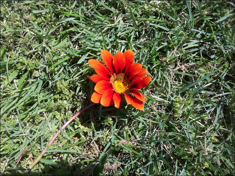   •   •   •   •    • 4/29/2009