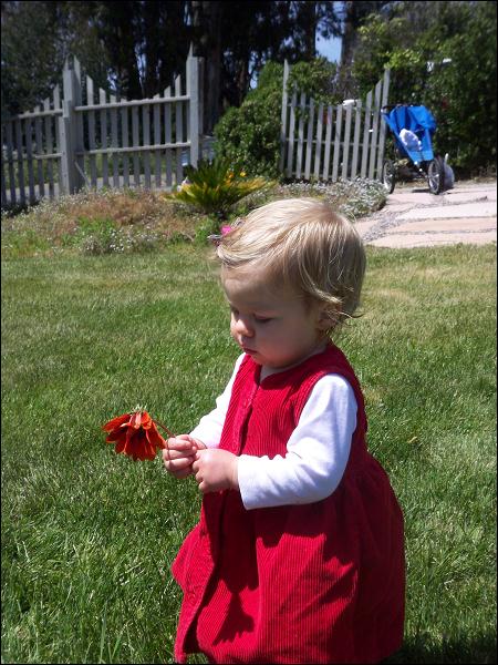   •   •   •   •    • 4/29/2009