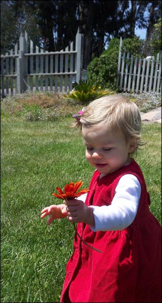   •   •   •   •    •  