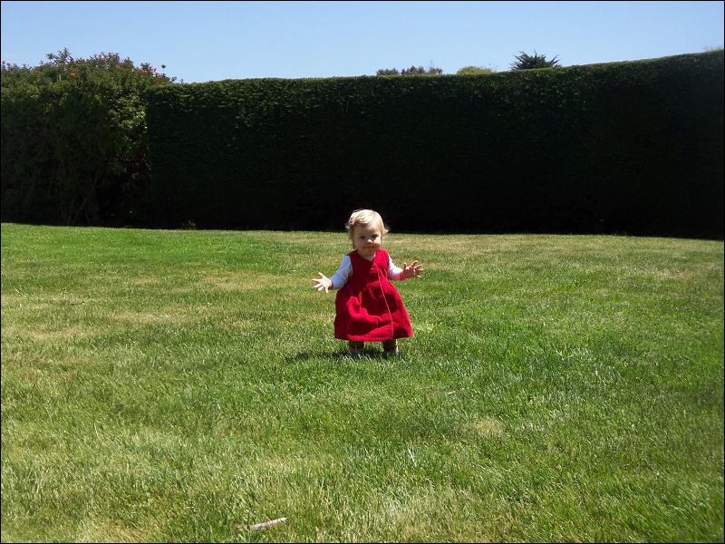   •   •   •   •    • 4/29/2009