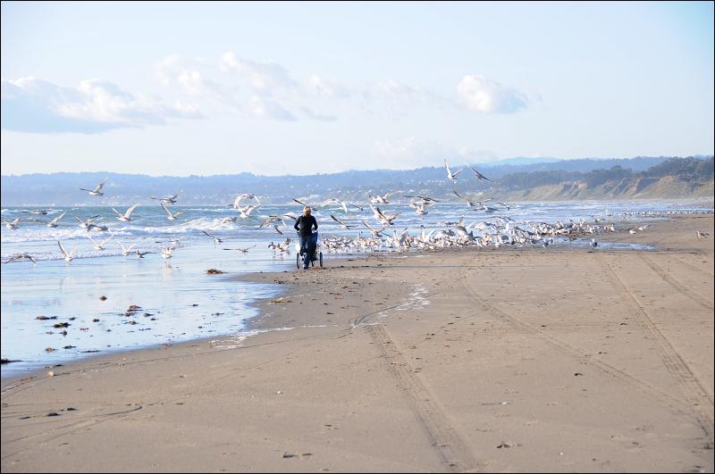   • The Petersons Celebrate Emi's Birthday • Alexander-Santana Estate • La Selva Beach • California  • 3/6/2009